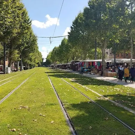 דירה Le Studio Jardin D'eden Metro Palais De Justice טולוז