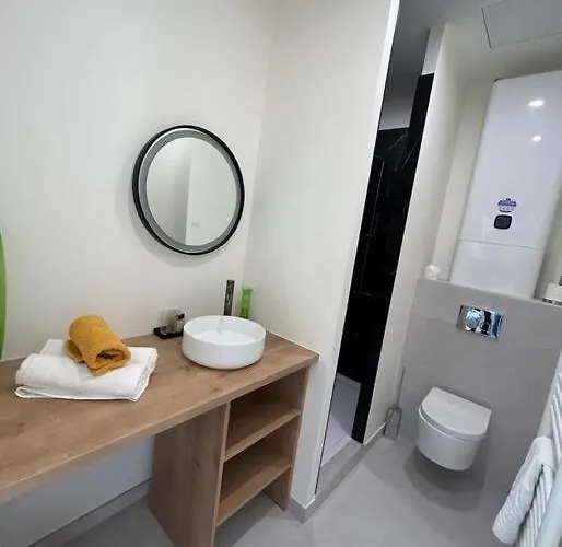 Le Studio Jardin D'eden Metro Palais De Justice * Toulouse