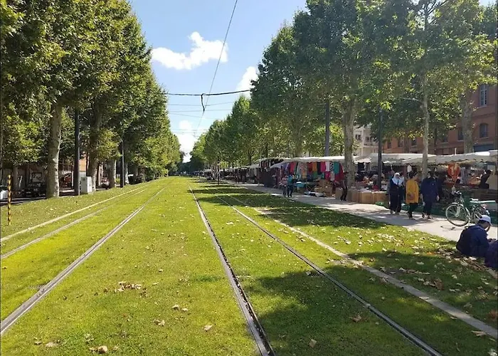 Appartement Le Studio Jardin D'eden Metro Palais De Justice Toulouse